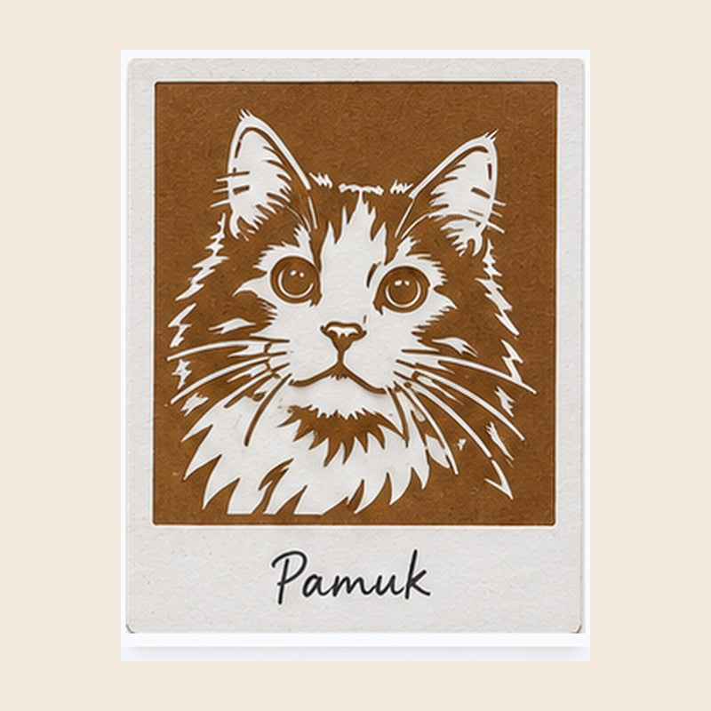 Pamuk desen kartı