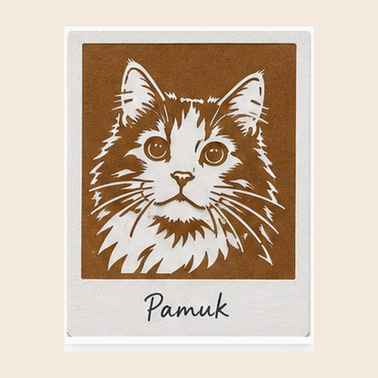 Pamuk desen kartı